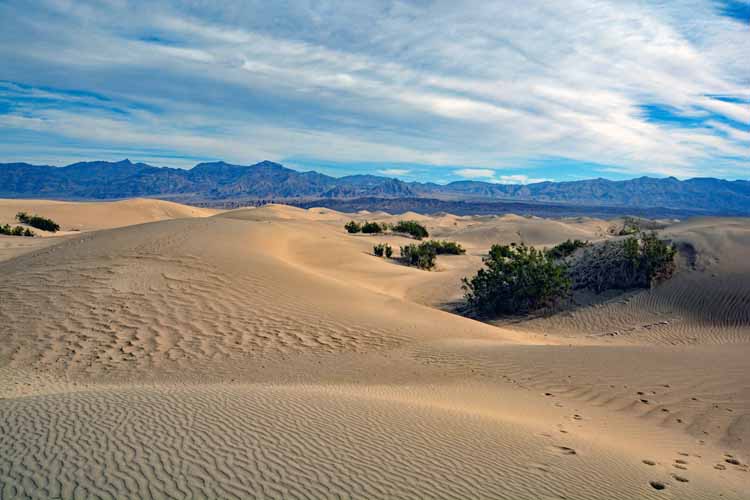 sand dunes